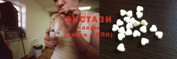 ECSTASY Богородицк